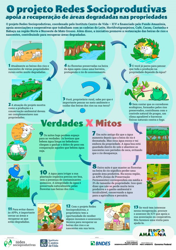 Infografico01-ICV-ProjRedSoc-V02_RGB_low